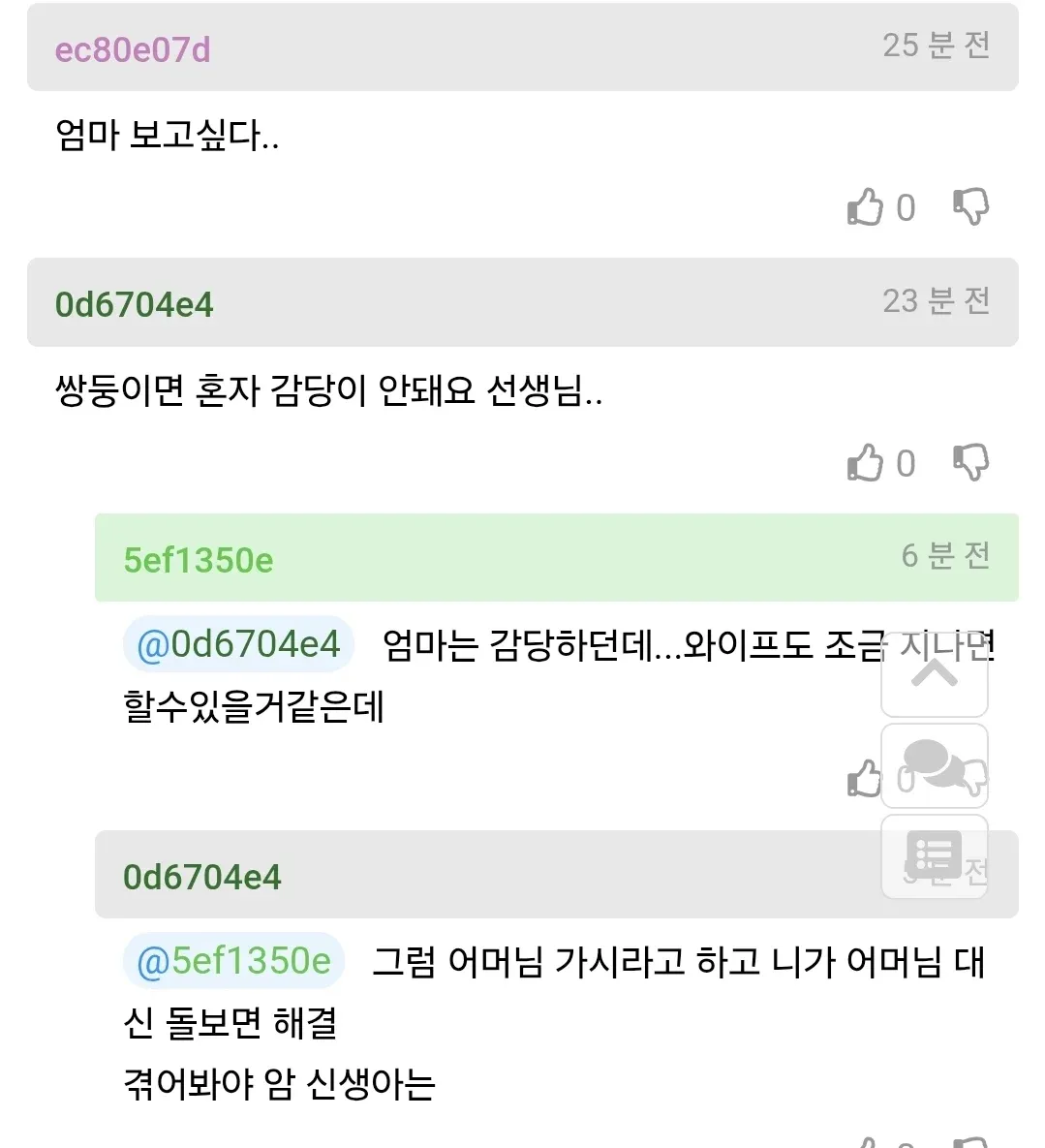 친정엄마와 함께 사는 것에 대한 온라인 댓글 스크린샷