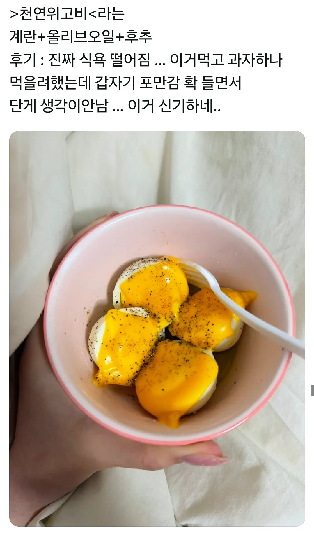 천연 위고비 계란 올리브오일 후추 조합 리뷰