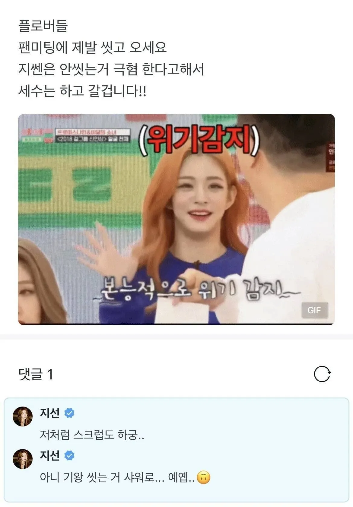팬미팅에 씻고 와야 한다는 말에 상처받은 팬의 온라인 댓글 스크린샷
