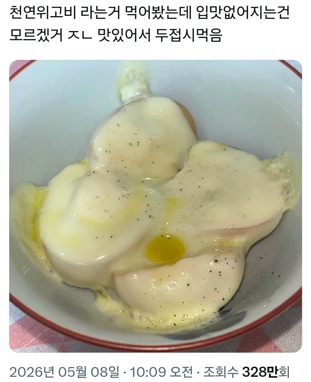 천연위고비 섭취 후 입맛 변화와 맛에 대한 댓글