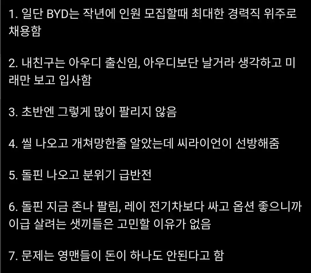 BYD 돌핀 판매 성공과 영업원 수익 감소 현황
