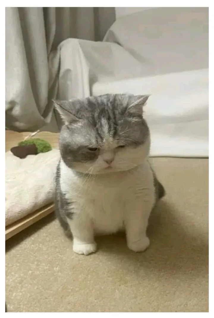 33살 여성이 5번의 연애 경험으로 느낀 나이 변화의 깨달음