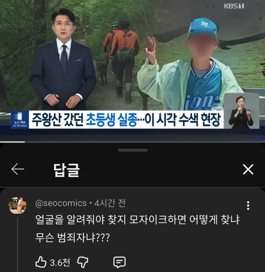 초등생 실종 사건 관련 유튜브 댓글, 얼굴 공개 필요성에 대한 게시물