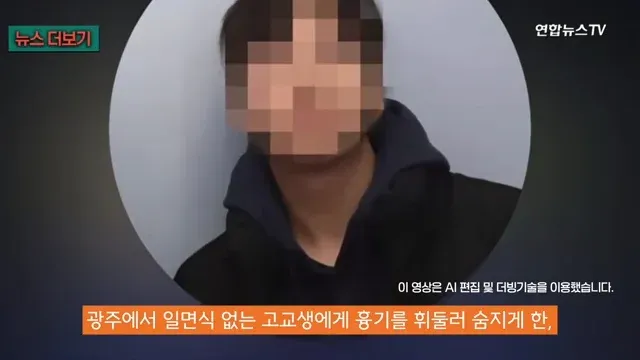 살인 용의자 추정 사진과 온라인 댓글