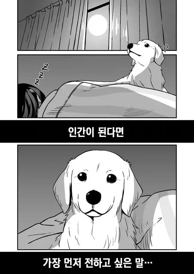 키우던 개가 인간이 됐을 때 가장 먼저 전하고 싶은 말이 담긴 장면
