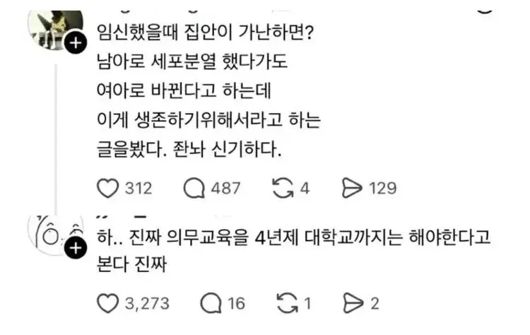 빈곤 환경에서 태아 성별 변화와 의무교육 확대에 대한 댓글
