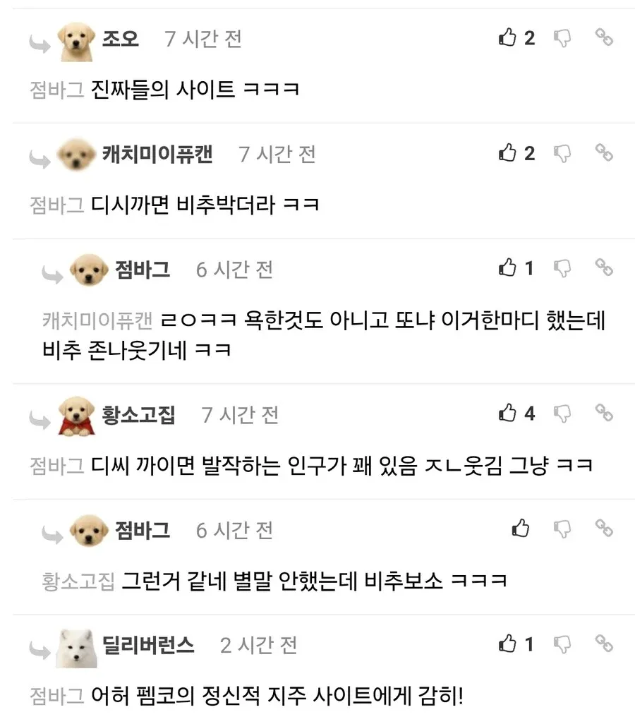 점바그 관련 온라인 커뮤니티 댓글 스크린샷