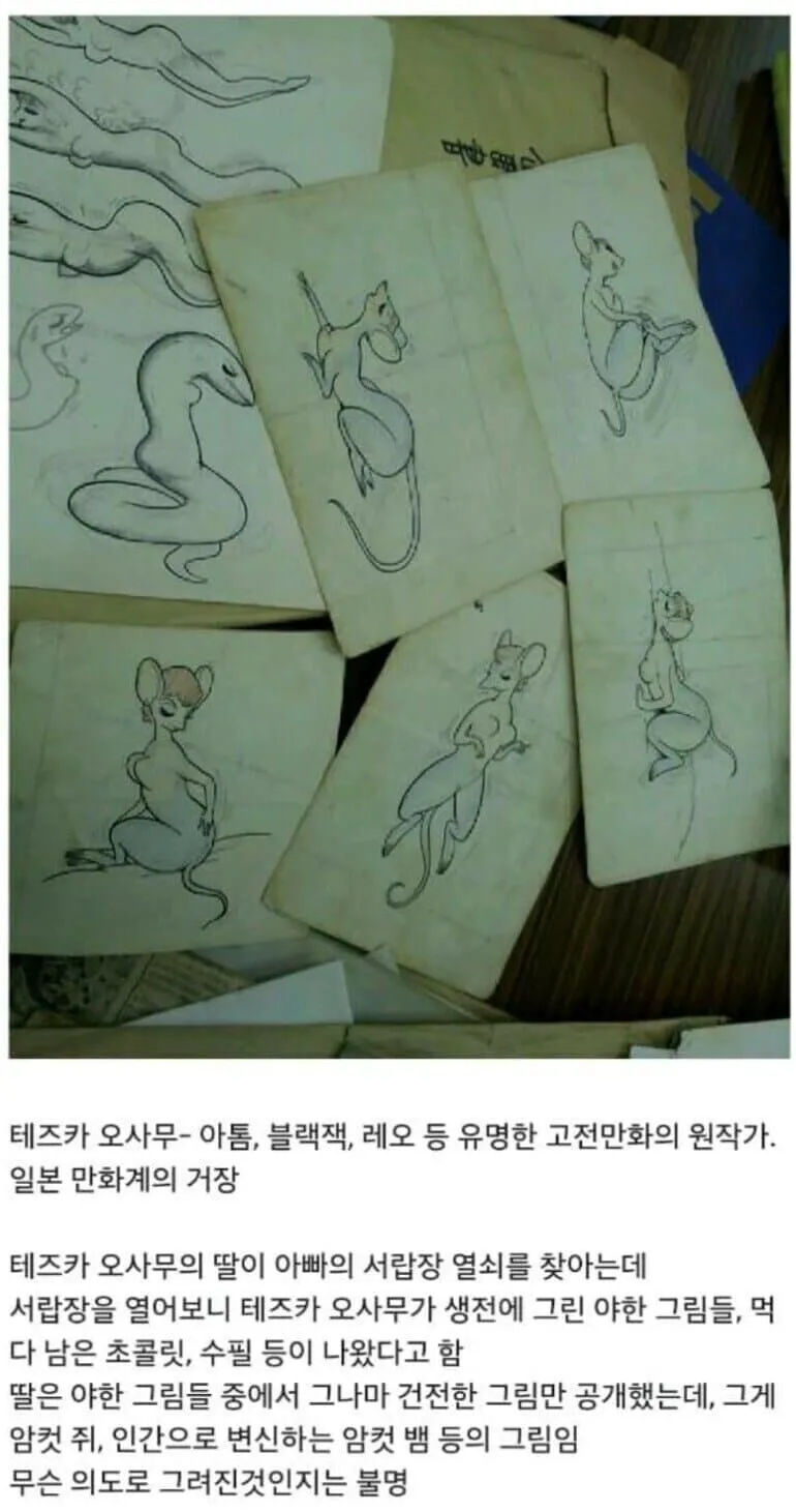 테즈카 오사무 딸이 발견한 아버지의 미공개 창작물