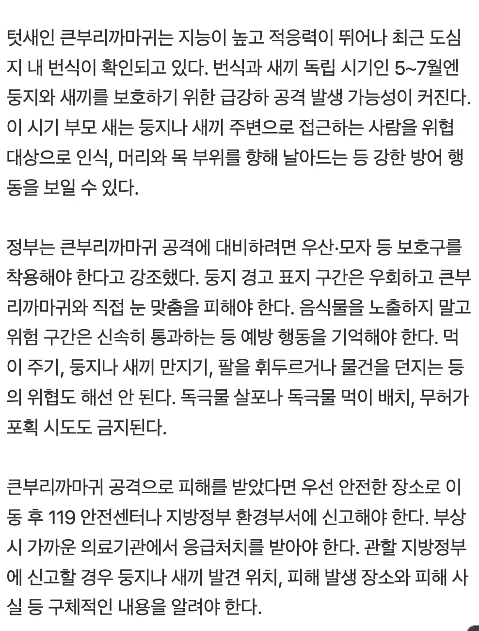 번식 중인 큰 부리까마귀의 공격 위험 경고