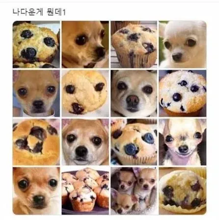 한국어 온라인 댓글 밈 이미지, "나 다운 게 뭔 데"와 "이글 보는 우때인들아" 텍스트 포함