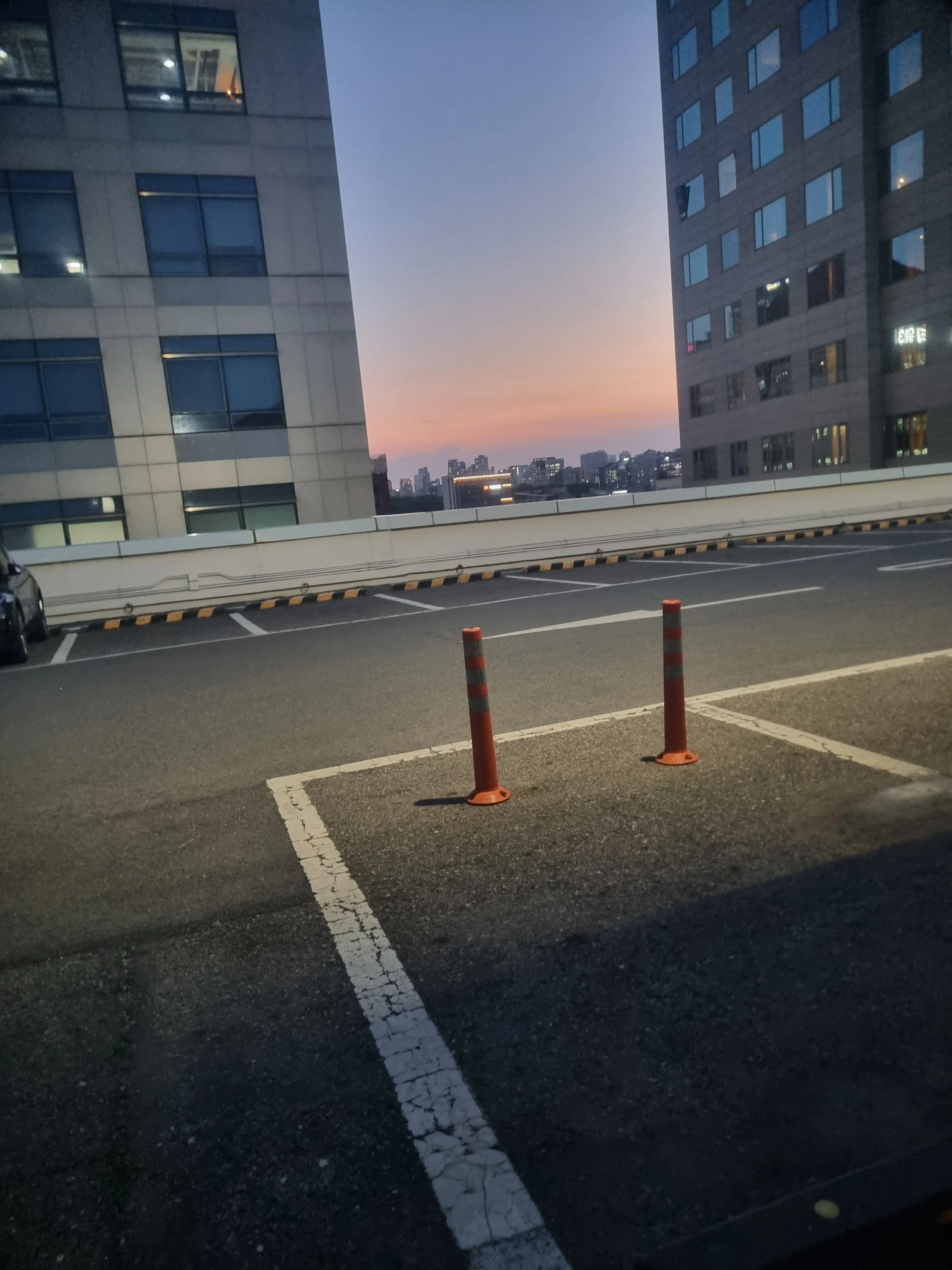 왼쪽 눈 실명을 설명하는 의료 이미지