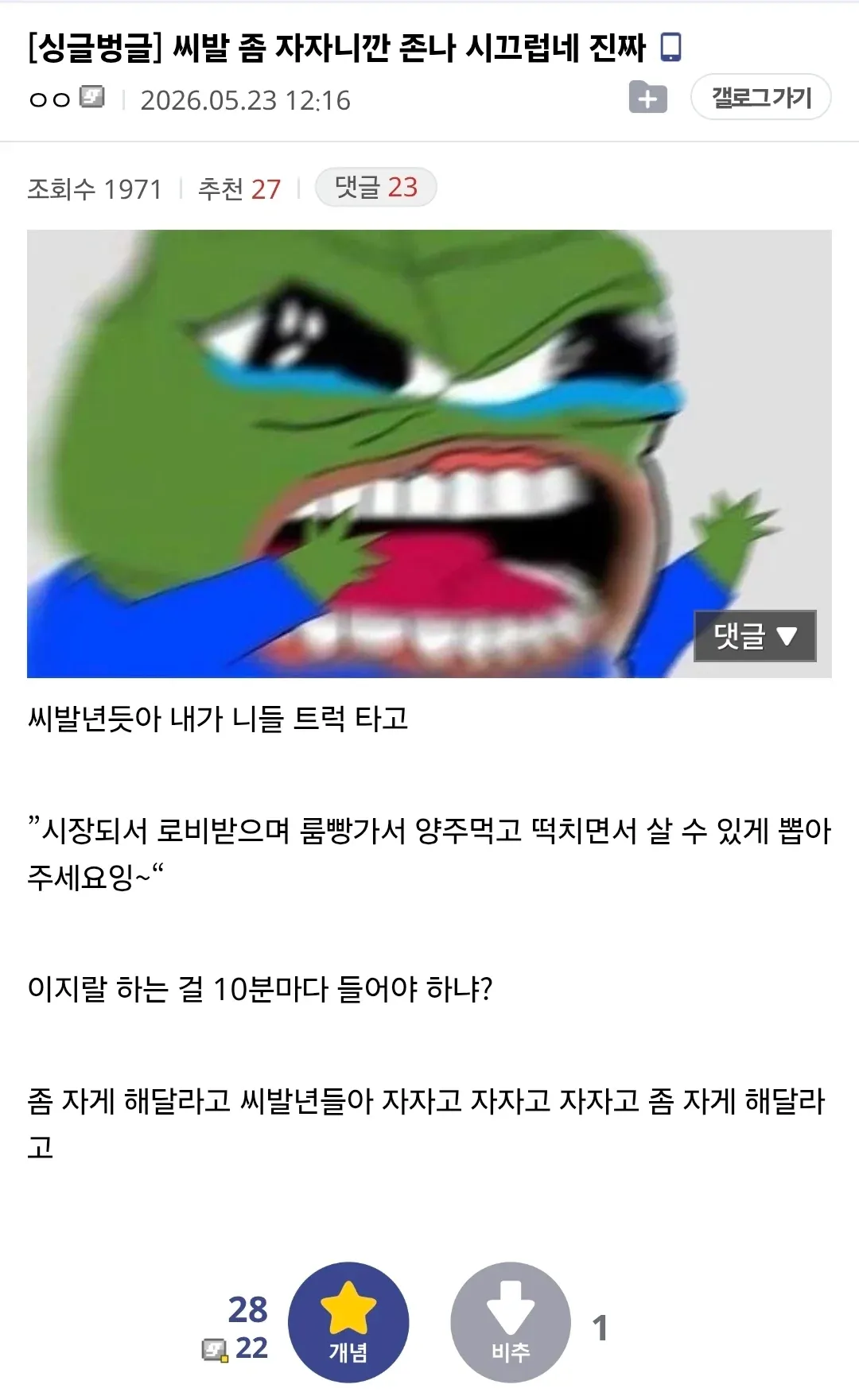 선거철 수면 부족으로 정치인 비판 댓글 올린 디시 글 스크린샷