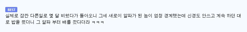 늑대에게 물린 사진작가의 순간