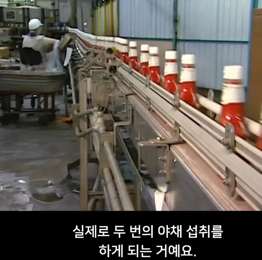 감자튀김과 케찹으로 야채를 두 번 섭취하는 이유