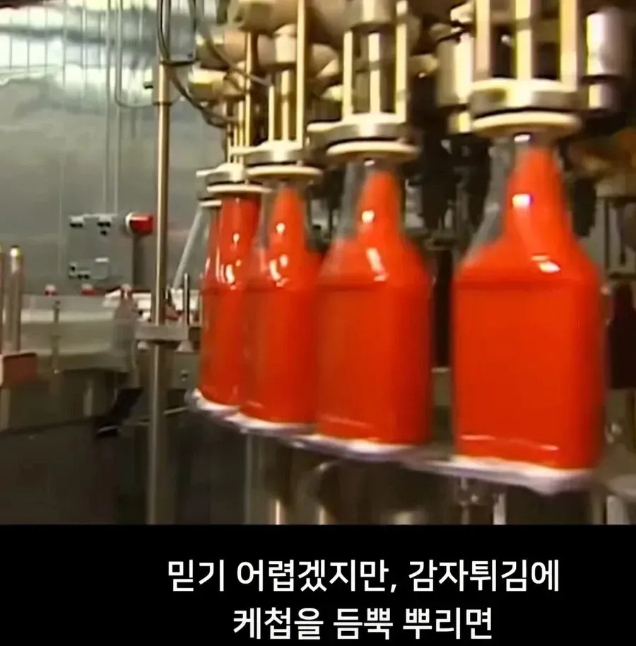 감자튀김에 케찹을 뿌려야 하는 이유를 설명하는 텍스트