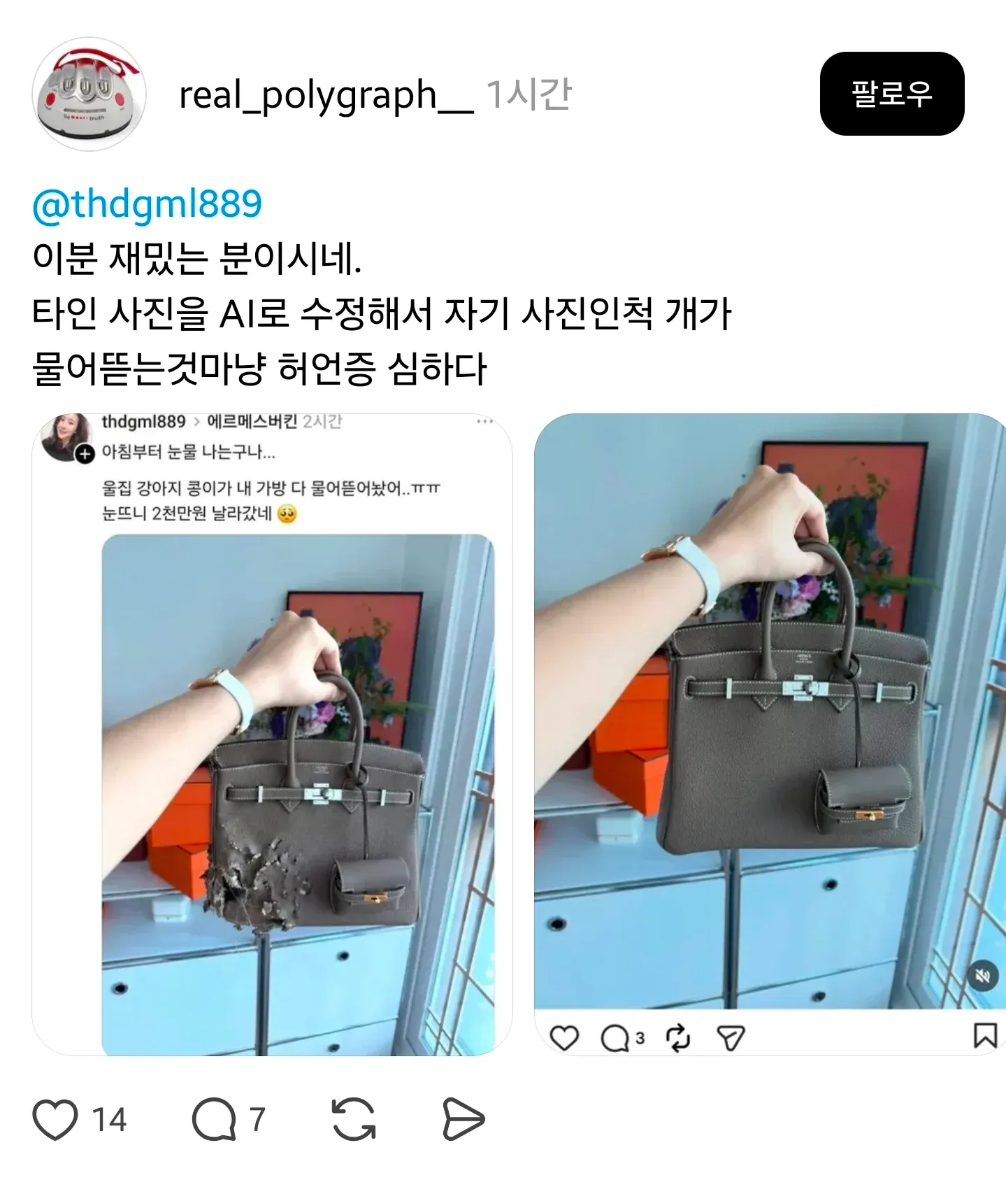 강아지가 명품 버킨백 가방을 물어뜯은 모습