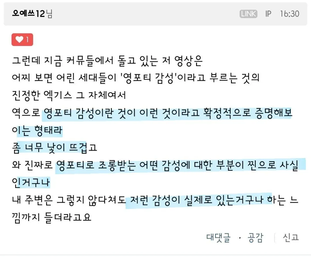 ```
영포티 감성의 진정한 의미를 논의하는 유튜브 댓글 캡처
```
