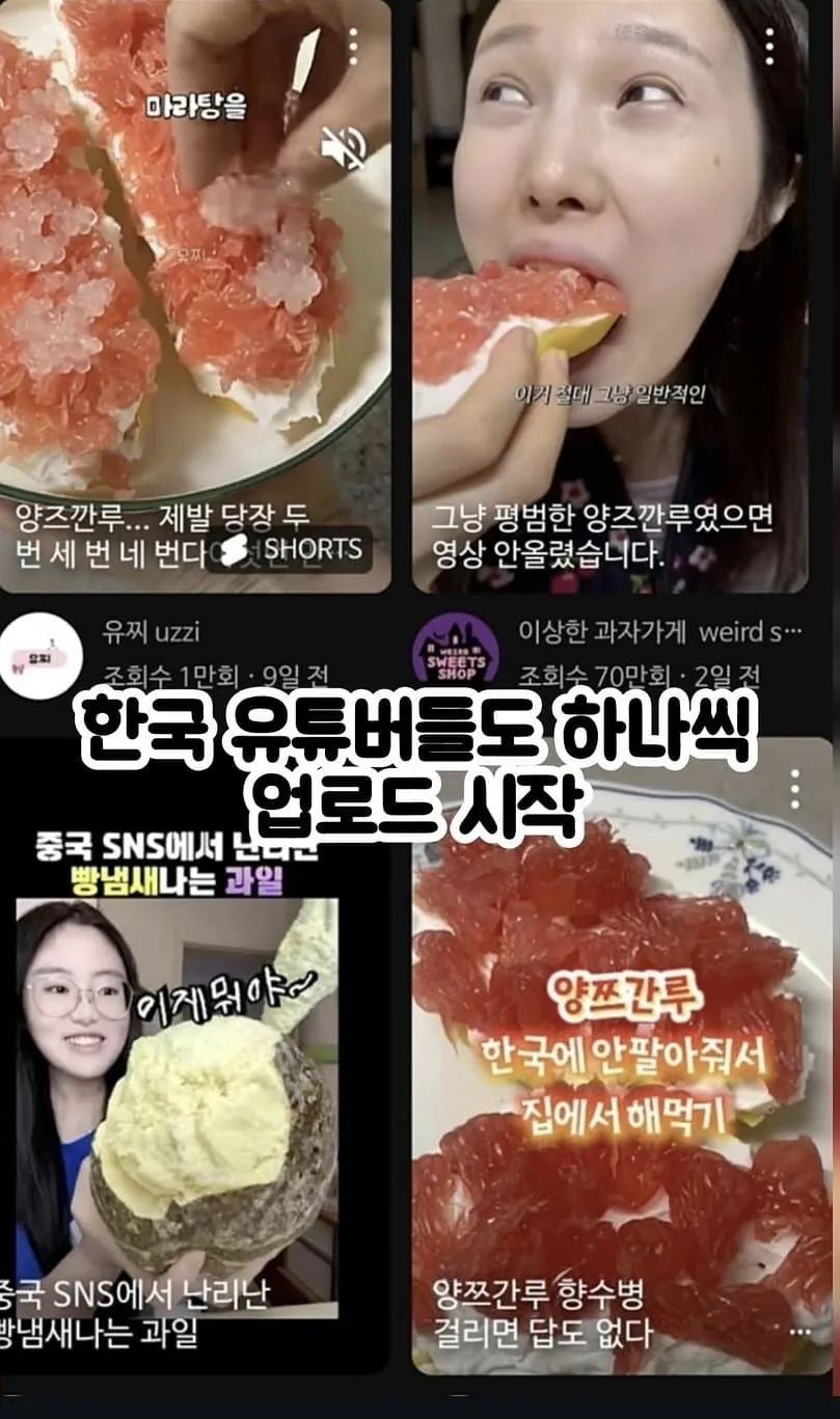 한국 유튜브와 중국 SNS에서 화제인 앙즈깐루 음식 설명 장면