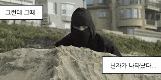 그런데 그때 닌자가 나타났다. 닌자 실존설 관련 텍스트