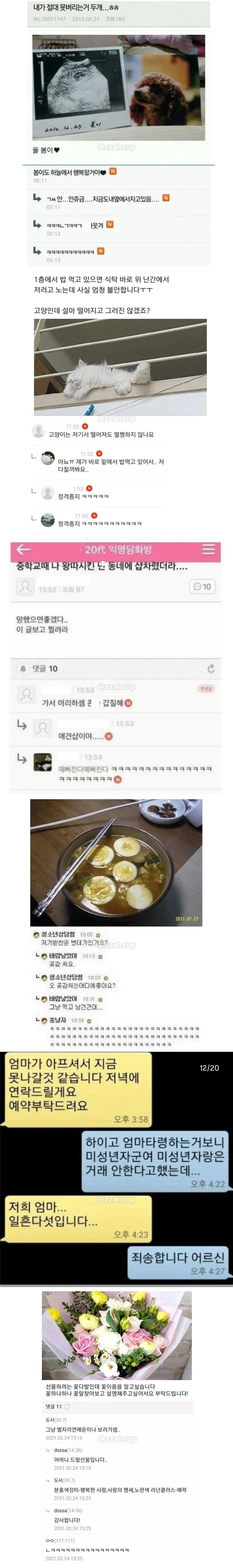 고양이 난간 안전에 대한 한국어 댓글