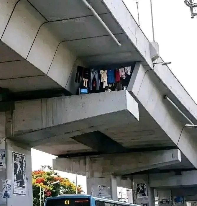 닌자 실존설 관련 데이터 비교 차트