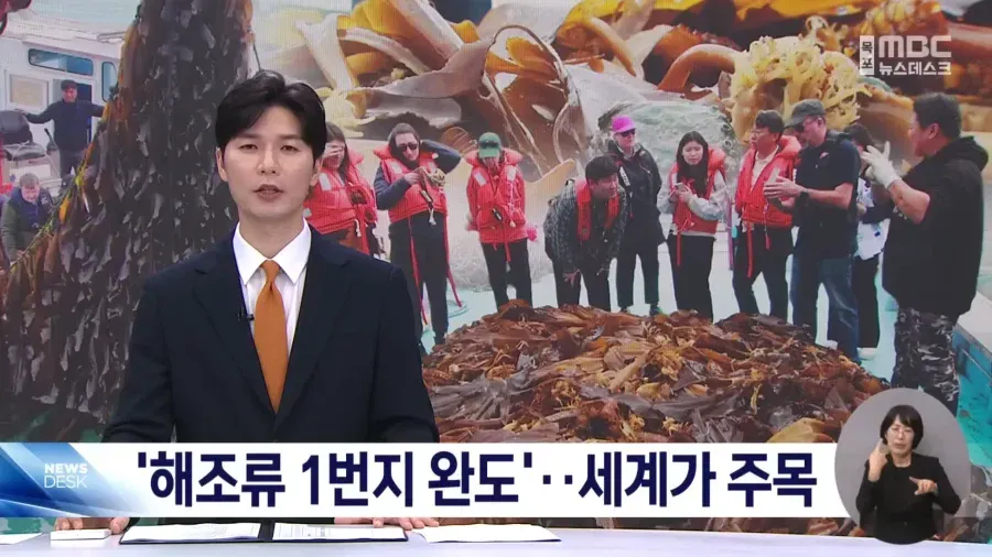 전 세계가 주목하는 한국의 섬