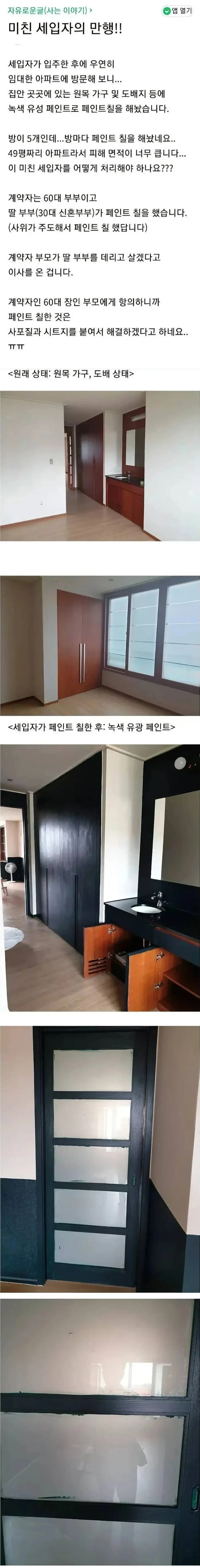 목재가구와 벽지에 초록색 유성페인트를 칠한 월세집 손상 현황