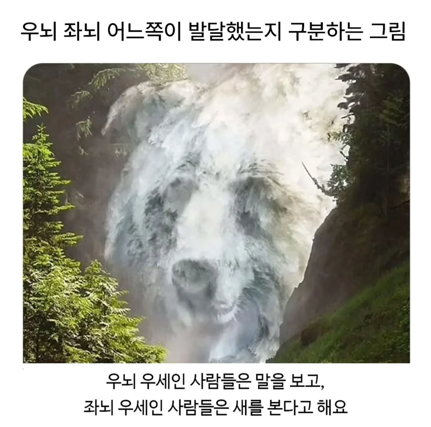 우뇌는 '말'을, 좌뇌는 'ME'를 보는 뇌 발달 구분 이미지