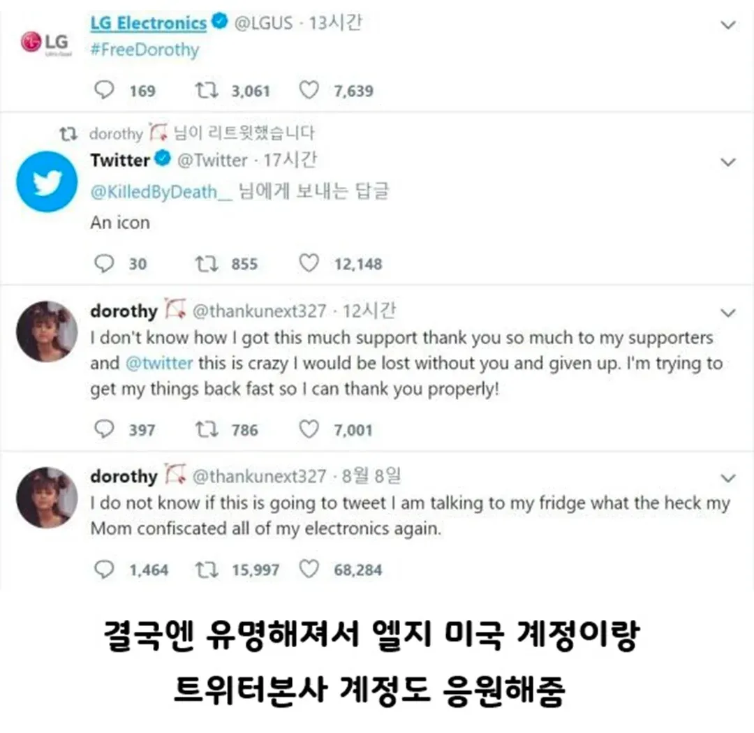#FreeDorothy 캠프페인 관련 트윗 스크린샷