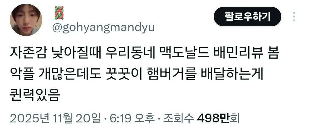 자존감 낮을 때 보는 맥도날드 배민 리뷰 게시글