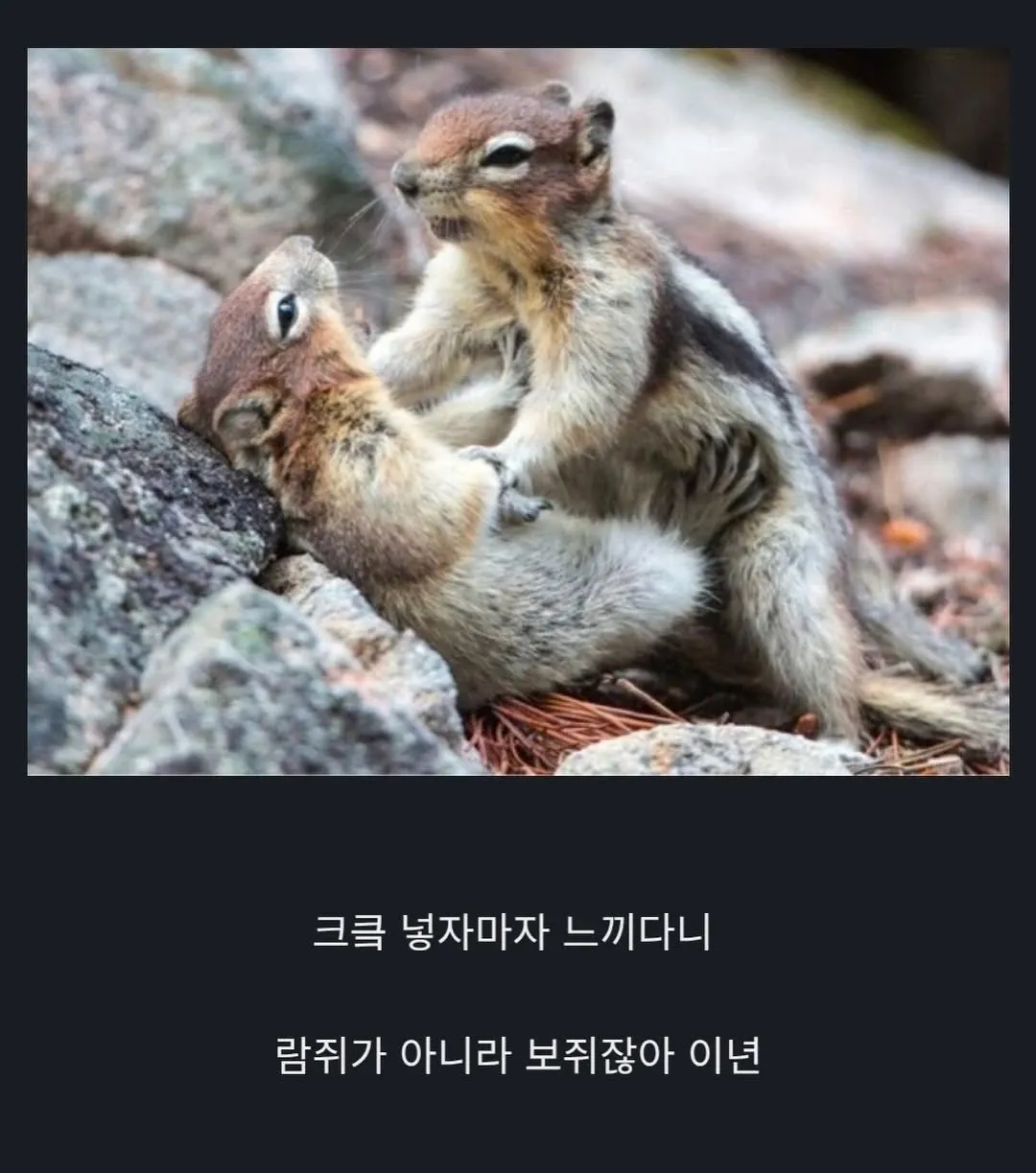 의성어와 한글 메시지가 포함된 이미지