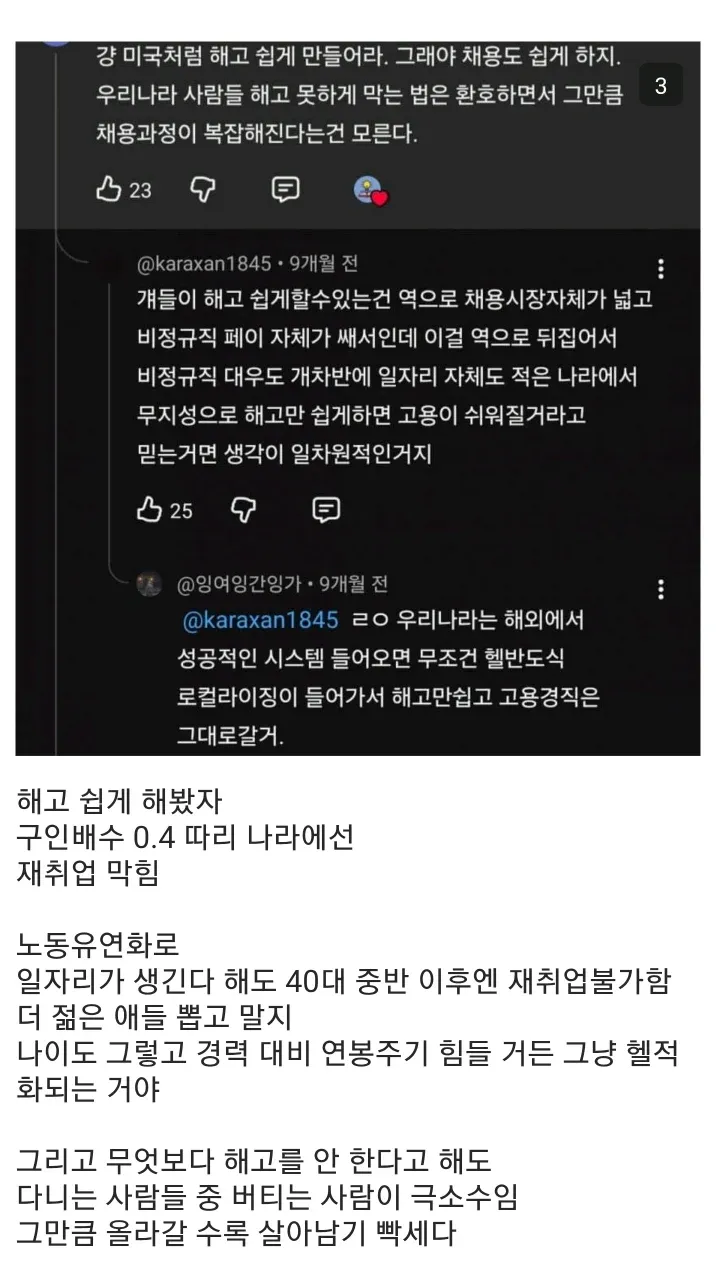 한국 노동시장 문제: 해고 유연성 도입과 실업, 재취업 어려움에 대한 댓글