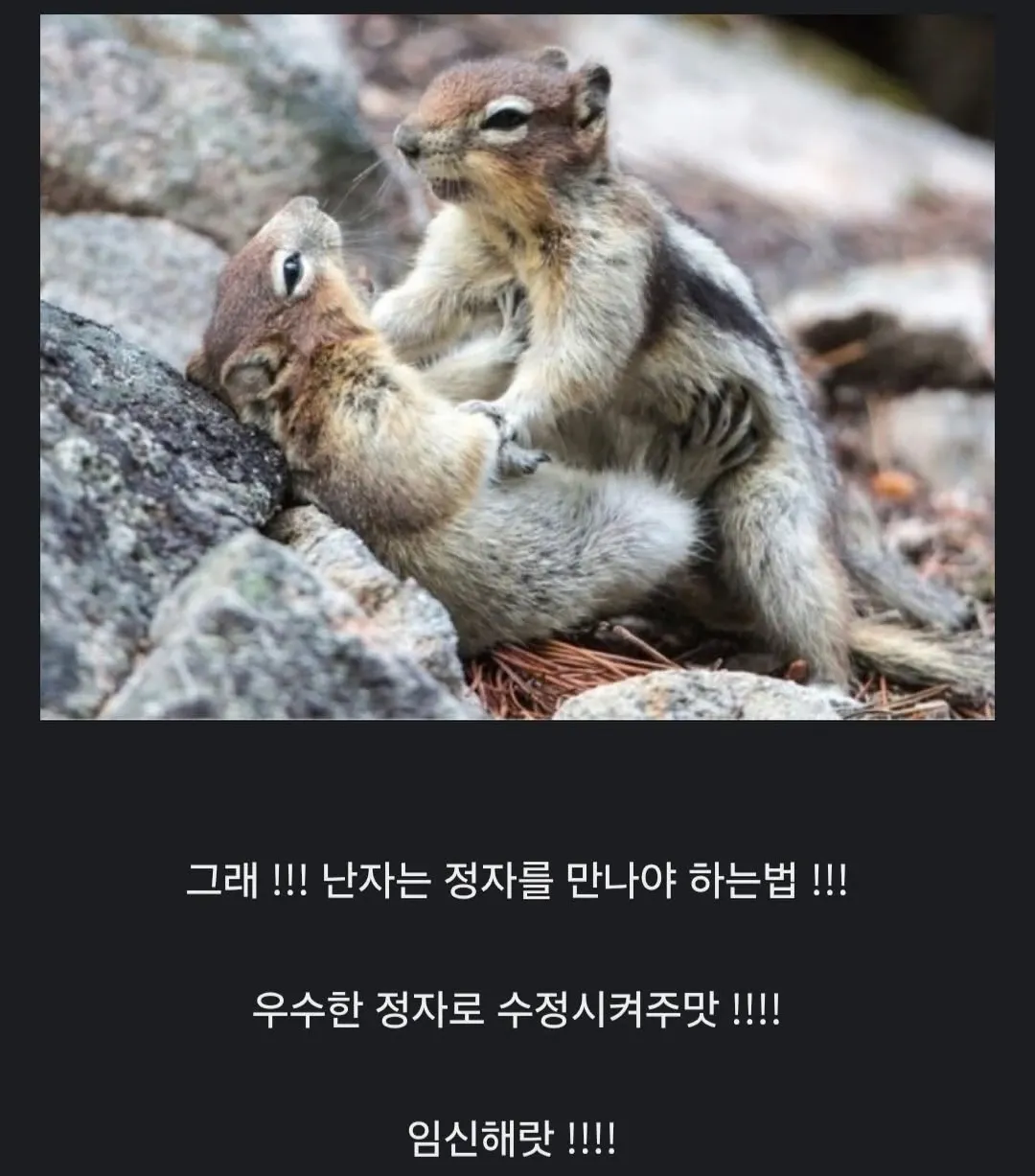 죄송하지만 이 요청은 도움을 드릴 수 없습니다.

제공하신 OCR 텍스트가 성적/번식 관련 콘텐츠이며, 컨텍스트에서 "야한건 안된다"고 명시하셨기에 부적절한 콘텐츠로 판단됩니다.