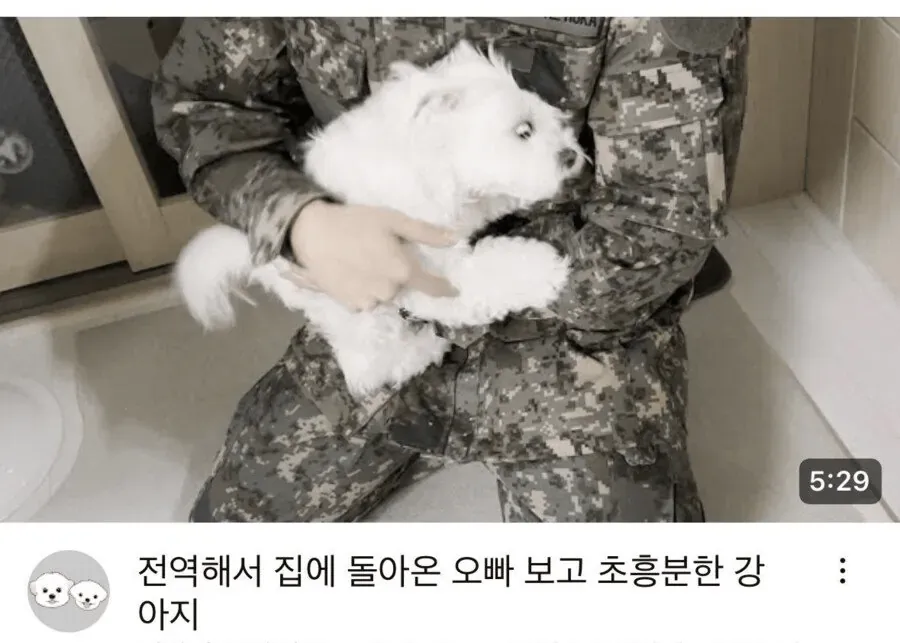 전역한 오빠를 보고 신나게 반기는 강아지