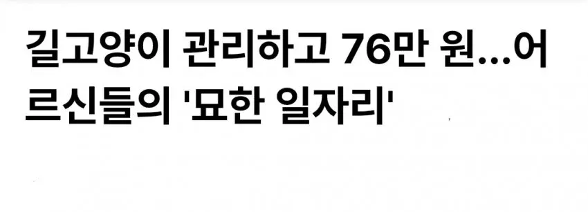 길고양이 관리로 월 76만원을 버는 어르신들의 일자리