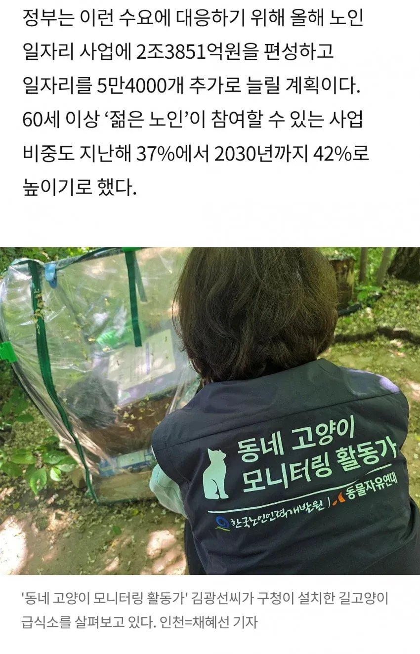 노인 일자리 사업의 길고양이 모니터링 활동 중인 김광선씨가 급식소를 확인하고 있다