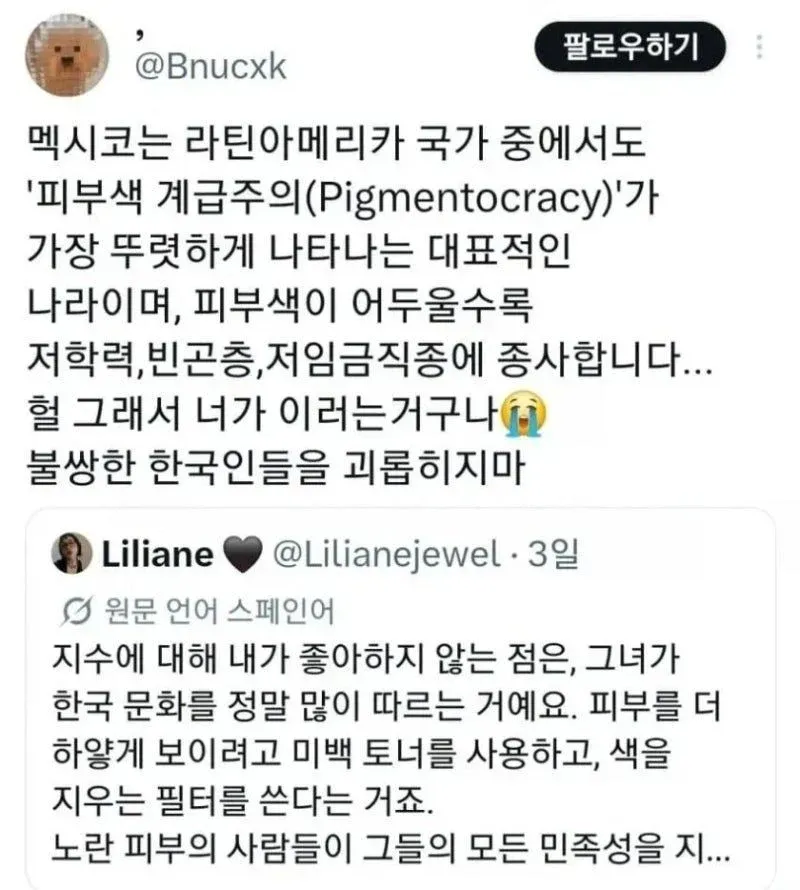 한국인의 피부 미백 트렌드를 비판하는 소셜미디어 댓글 스크린샷