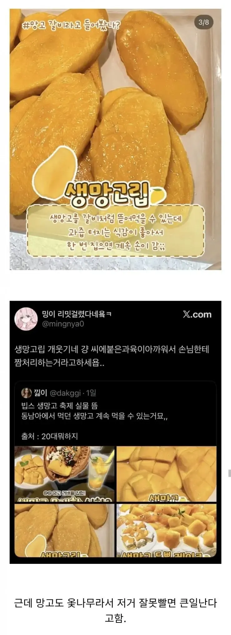 망고의 버려지는 부위를 활용한 고급 식품 제품 마케팅 이미지