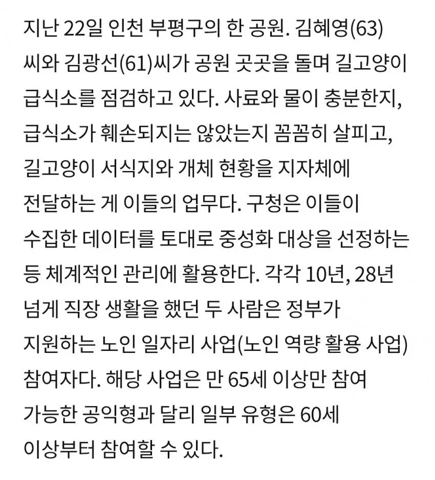 길고양이 급식소 점검하는 노인일자리 사업 참여자들