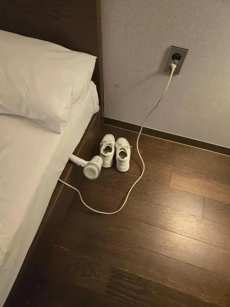 호텔 직원을 놀라게 한 예상 밖의 발견 상황
