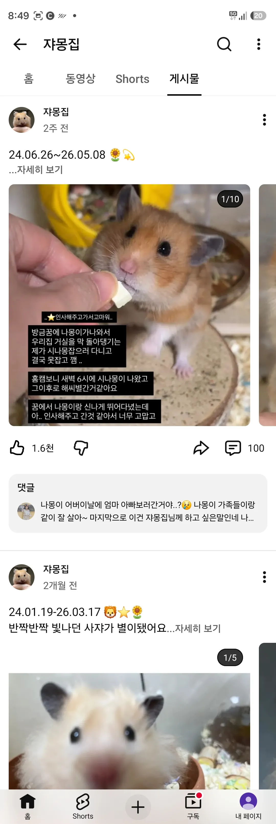 햄스터 유튜브 Shorts 게시물과 시청자 댓글 화면