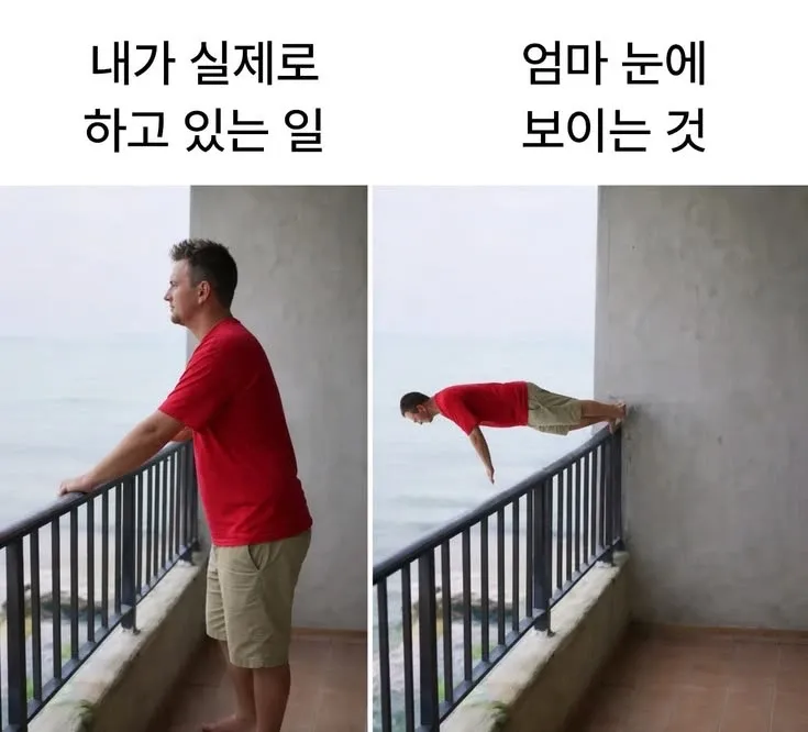 내가 하는 일과 엄마 눈에 보이는 것의 차이를 표현한 현대인 밈