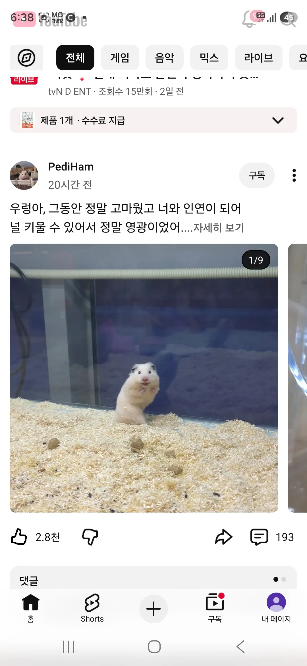 햄스터 유튜브 채널의 영상 댓글 섹션으로 PediHam 채널의 게시물에 달린 댓글들을 표시하고 있다