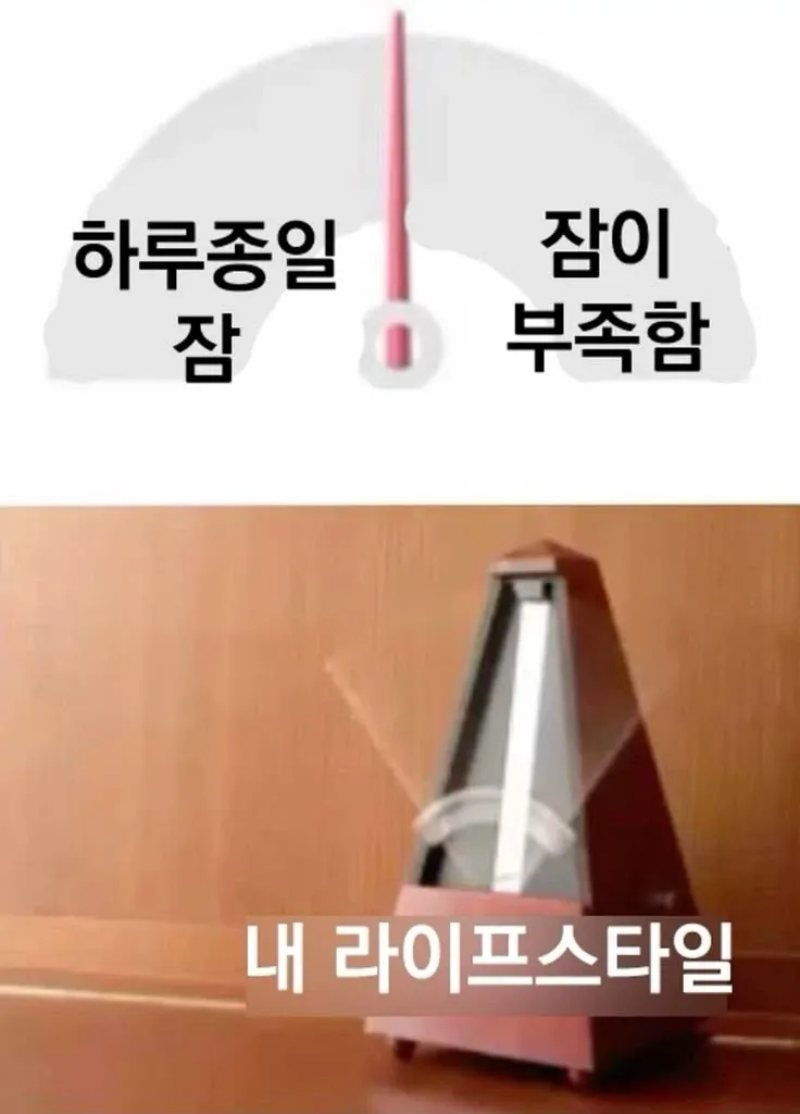 하루종일 피곤하고 수면부족인 지친 현대인의 라이프스타일 밈