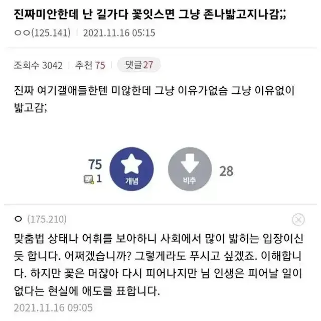 꽃 관찰에 대한 식물갤러리 게시글과 댓글 스크린샷