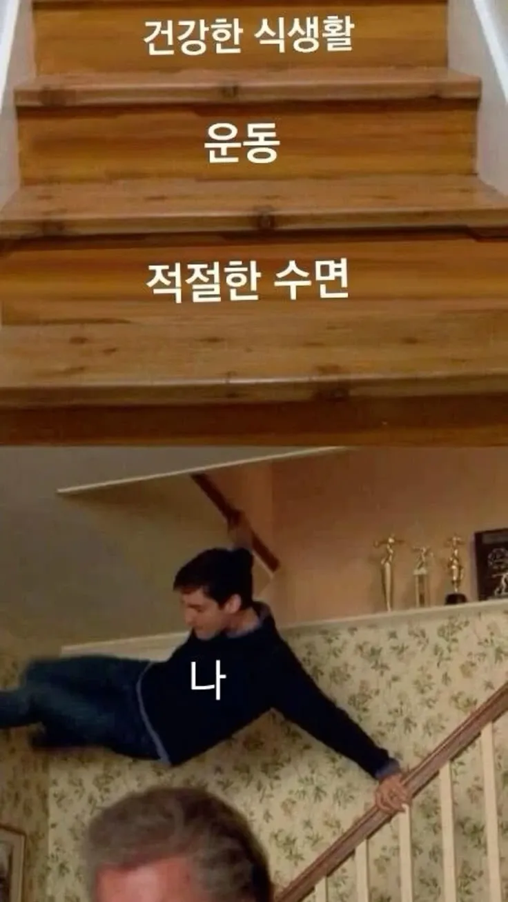 건강한 식생활, 운동, 수면과 현실의 나를 대비하는 밈