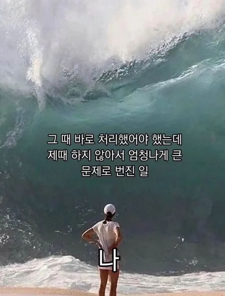 처음 처리했어야 하는데 방치해서 큰 문제가 된 상황을 후회하는 밈