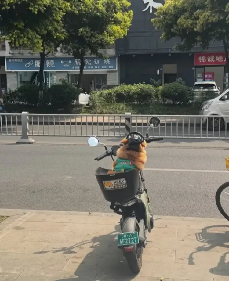 AF2121 제품 이미지
