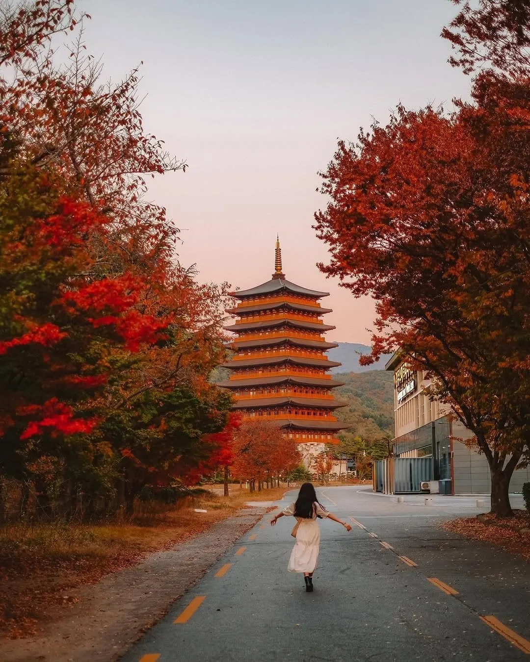 교토처럼 변화하는 경주의 도시 풍경