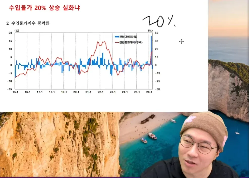 대한민국 수입물가 20% 상승 지수 그래프